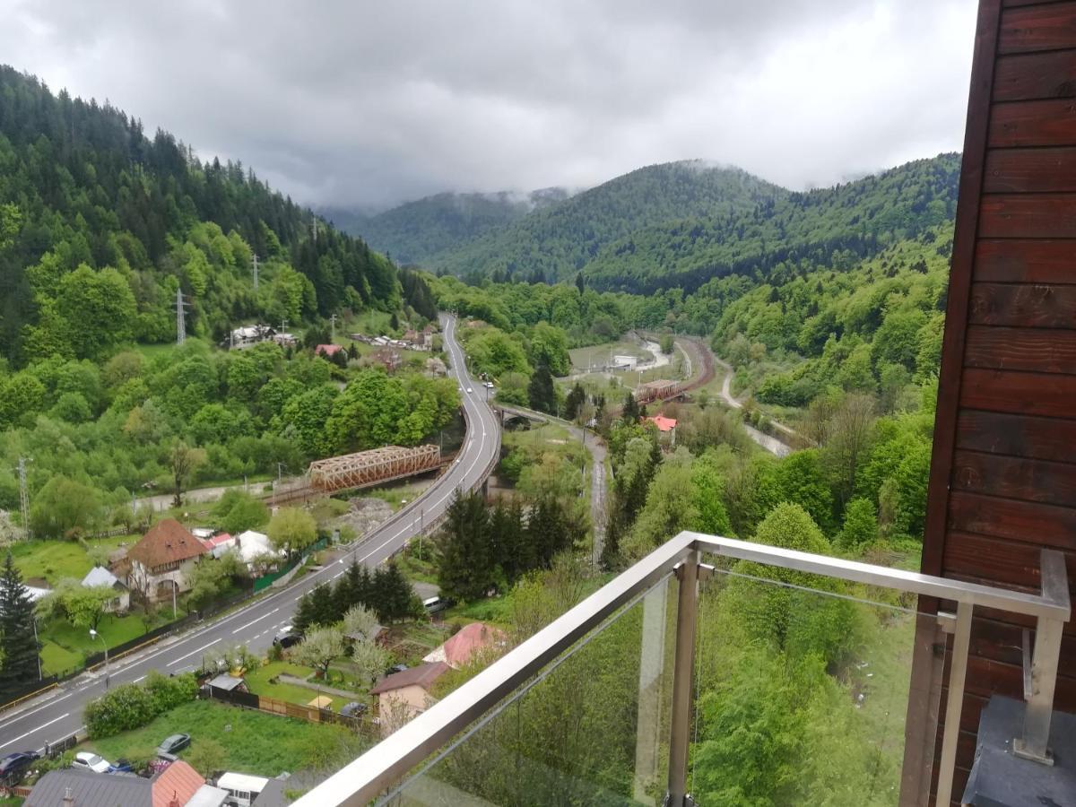 Sinaia Q Marie Apartment Экстерьер фото